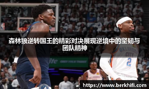 333官网